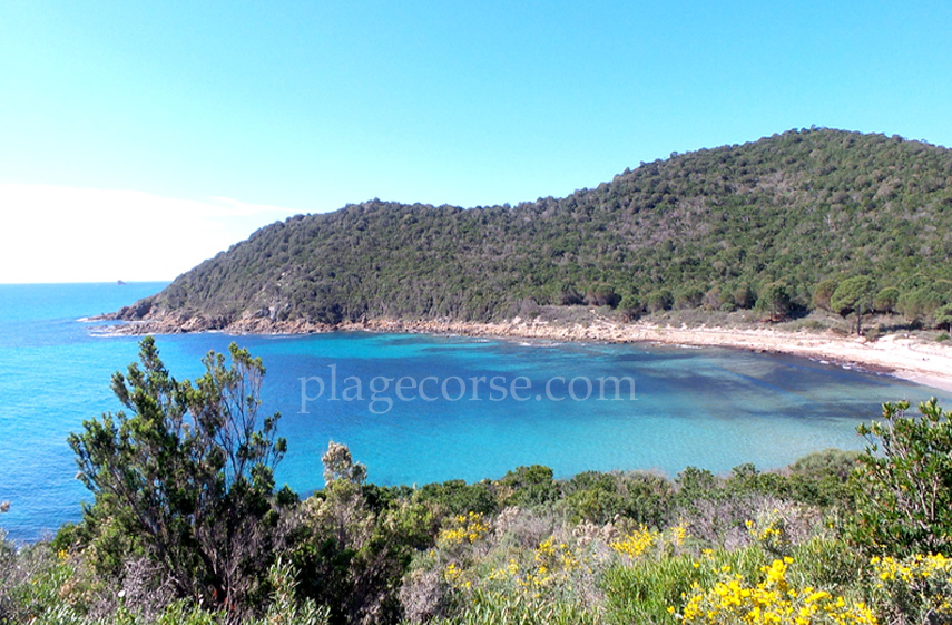 Fautea en corse du sud vacances