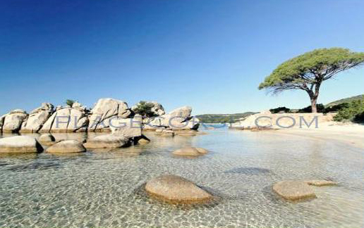 La plage de la folaca en corse du sud