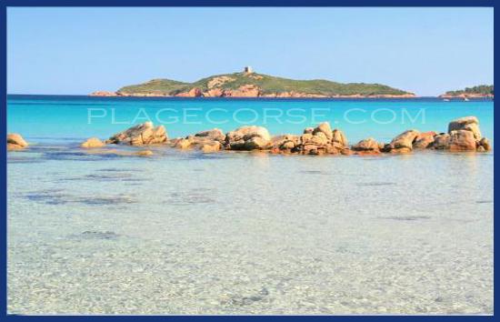 Site de rencontre en corse du sud