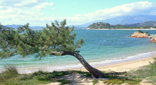 Plage de cala rossa corse