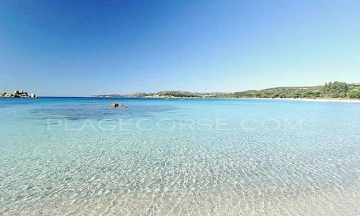 Plage de folaca palombaggia