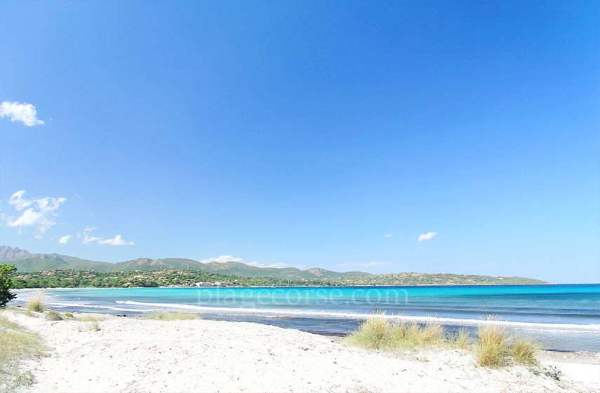 Plage de pinarello corse