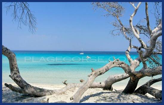 Saleccia haute corse