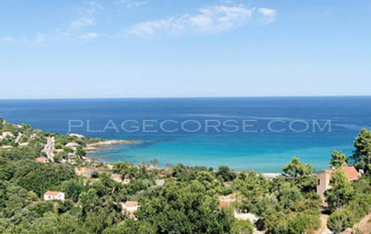 plage favone corse