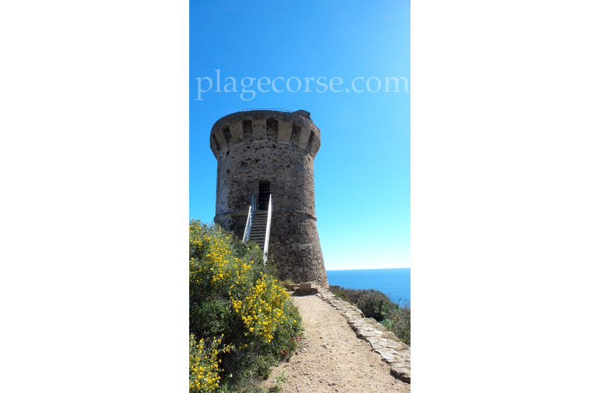 Tour genoise de fautea corse